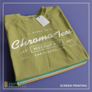 Screen Printing T-shirts